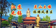 肏空姐菊花图片江苏无锡灵山大佛旅游风景区