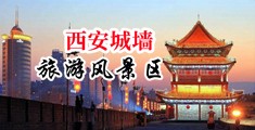 欧美操老太太逼痒了中国陕西-西安城墙旅游风景区