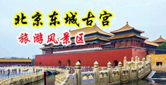 帅哥和美女操逼中国北京-东城古宫旅游风景区